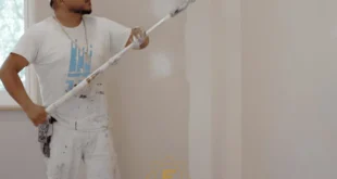 أفضل أنواع الدهانات الفخمة الحديثة لعام 2026